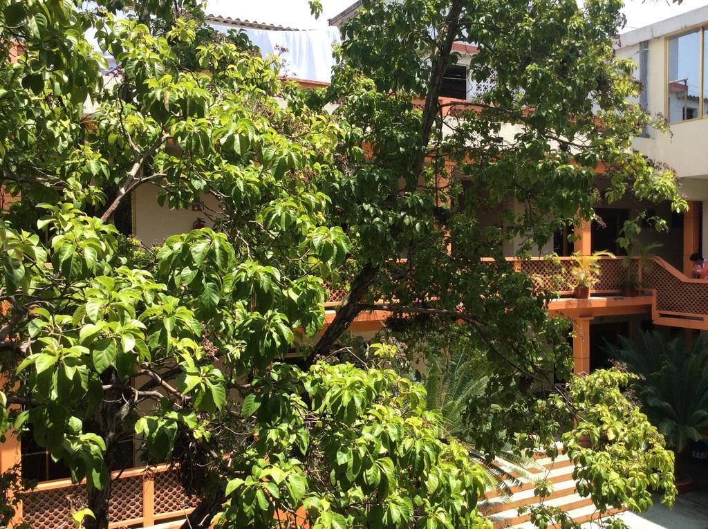 Hotel Juros Catemaco Exterior photo